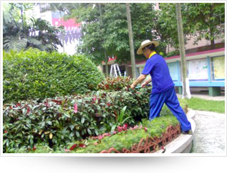 蚌埠市花都園藝有限公司