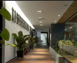 室內(nèi)綠化