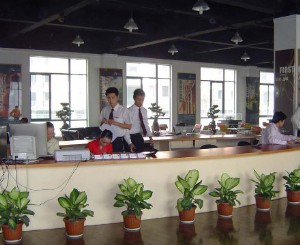 室內綠化